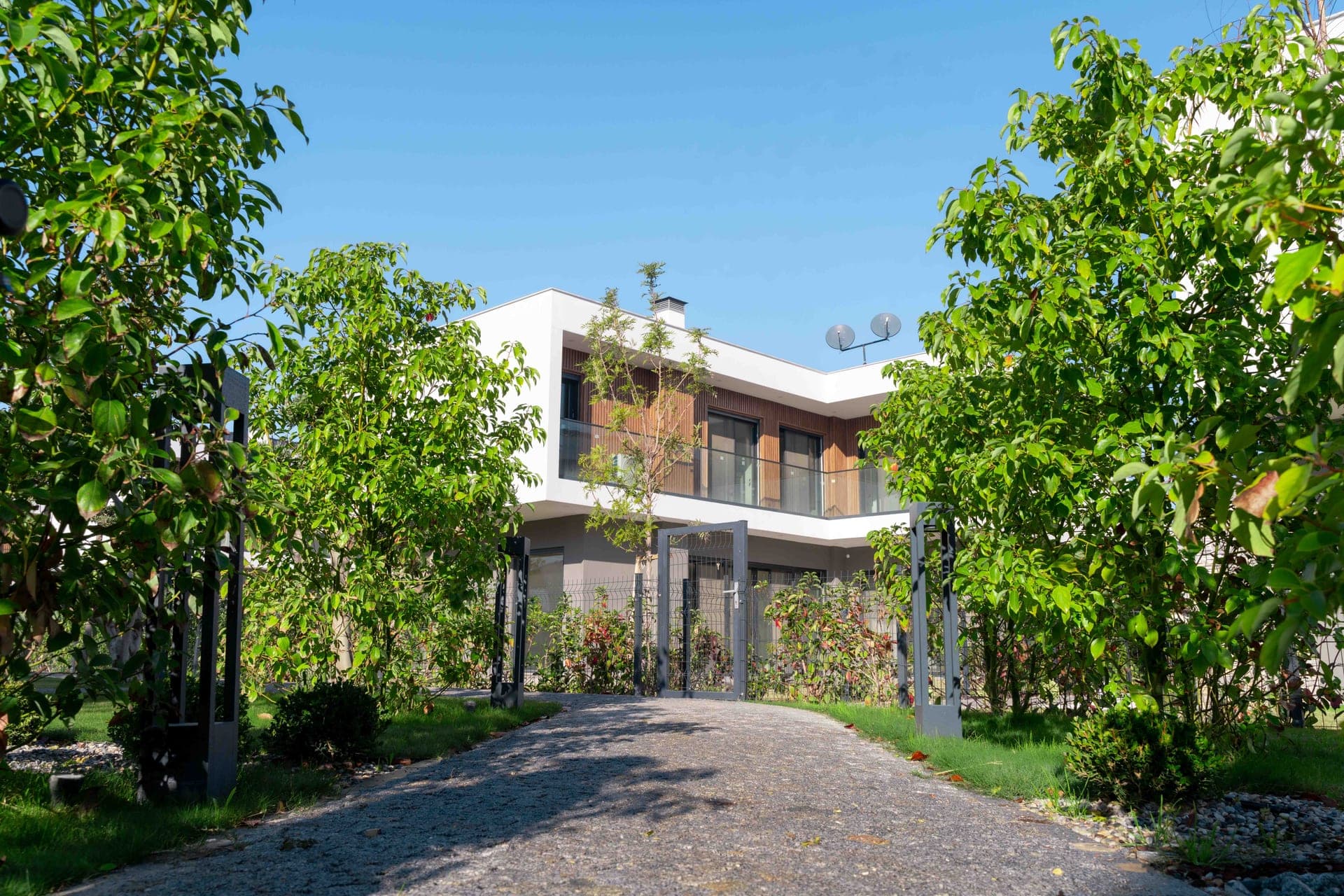 Home Sasalı — 1