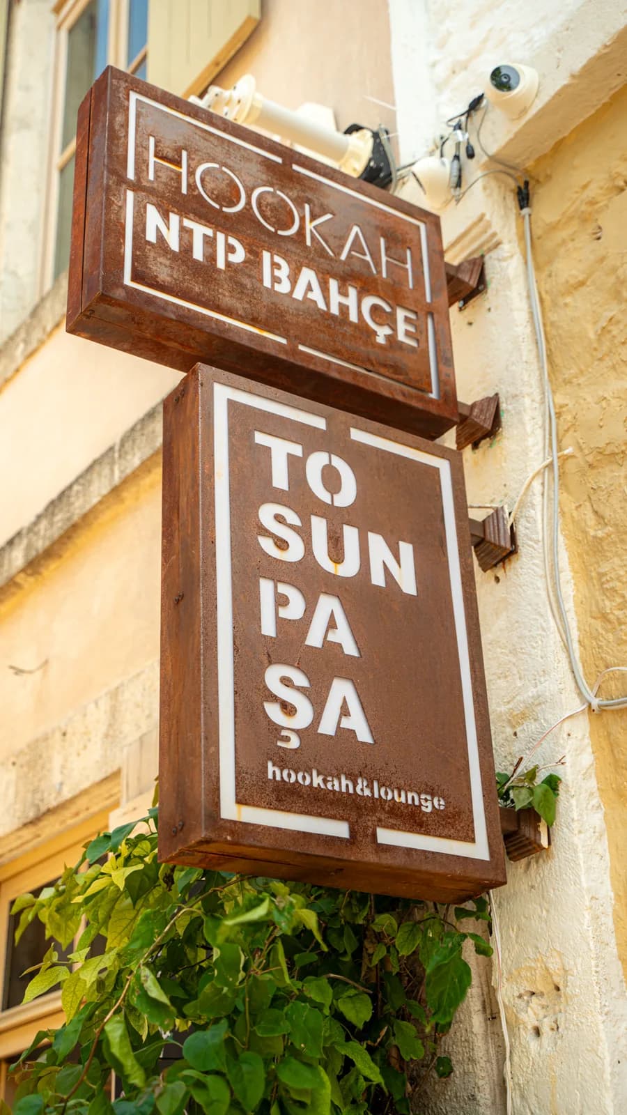 Tosun Paşa — 7